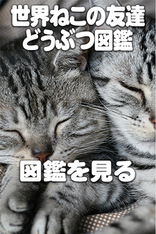 世界ねこの友達どうぶつ図鑑[子供向け]