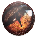 Hobbit Quotes icon