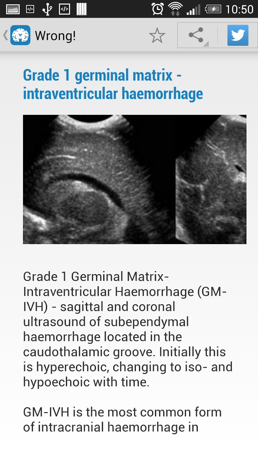 Cranial Ultrasound Screen 3
