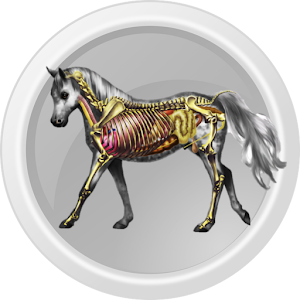 Horse Anatomy logo