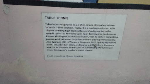 Table Tennis Template