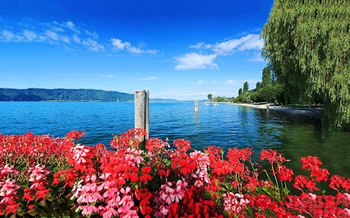 How to mod Spring Flowers Wallpaper 1.01 mod apk for bluestacks
