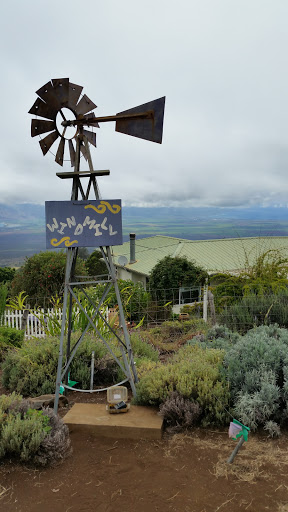 Windmill at The Lavender Farm