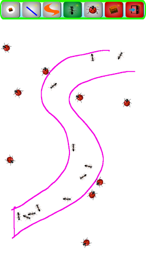 Ladybug and ants