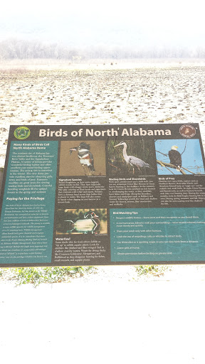 Birds of North Alabama