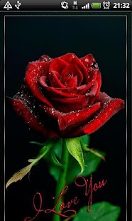 How to install Rose I Love You Live Wallpaper 1 mod apk for bluestacks