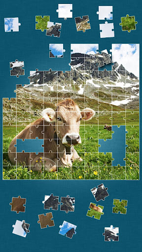 【免費解謎App】Cows Jigsaw Puzzle-APP點子