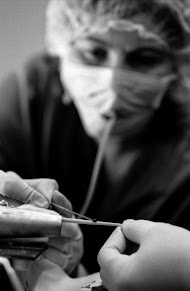 Proefdierlaboratorium: een muis