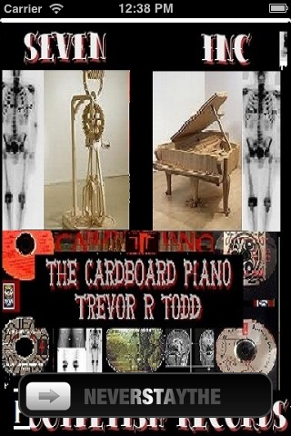 Cardboard Piano- Trevor R Todd