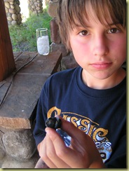 summer 2008 027