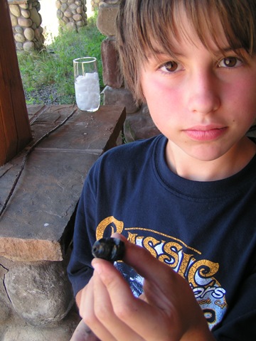 [summer 2008 027[5].jpg]