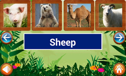 Animals and Birds by Intellisense poster 13