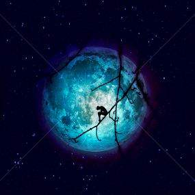 Moon Cocoon by Alina M. - Digital Art Abstract