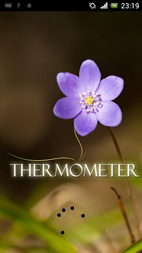 Thermometer Lite no internet