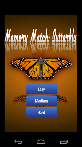 Memory Match: Butterfly