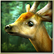 Forest HD icon