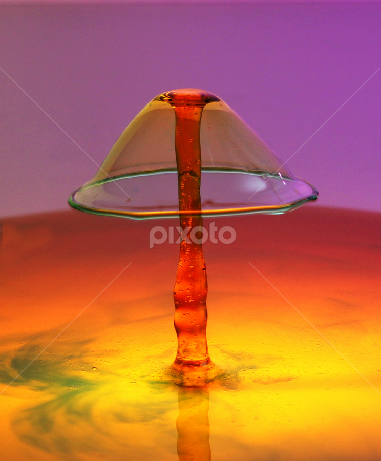 umberella by Parjiyo Suwardi - Abstract Water Drops & Splashes