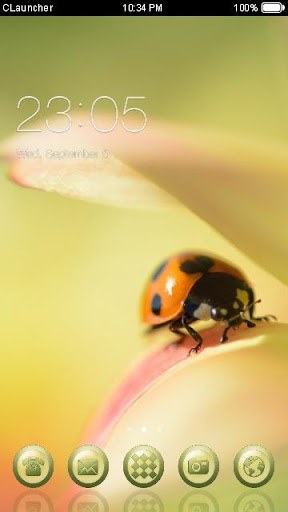 Cute Ladybug C Launcher Theme