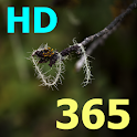 聖經金句 365 HD logo