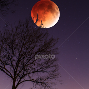Total Lunar Eclipse - Red Moon by MIGUEL CORREA - Landscapes Starscapes