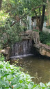 Shing Mum Valley Park Waterfall No. 3