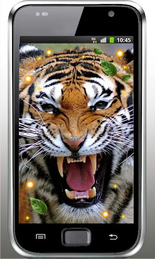 Tiger African live wallpaper