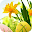 Beautiful Wallpaper Download on Windows
