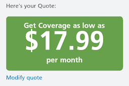 Auto Insurance Quotes Metlife