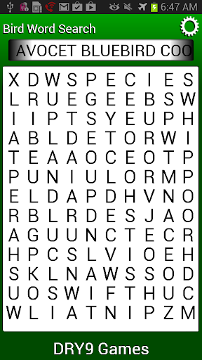 Bird Word Search