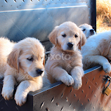 You spoke by Julie Blight -  