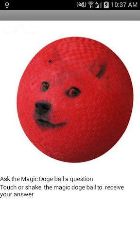 Magic Doge Ball
