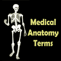 Medical Anatomy Terms