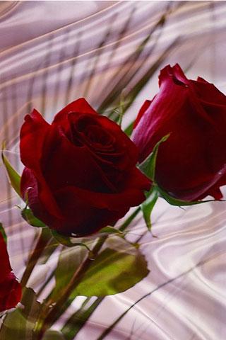 Download Cool 3D Rose wallpaper APK 1.2