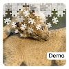 Big Cat Jigsaw Puzzles Demo