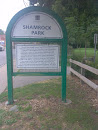 Shamrock Park 