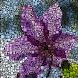 Growing Mosaic Lite
