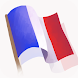 Constitution Française