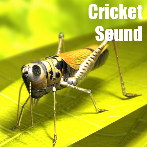 【免費音樂App】Cricket Sounds-APP點子