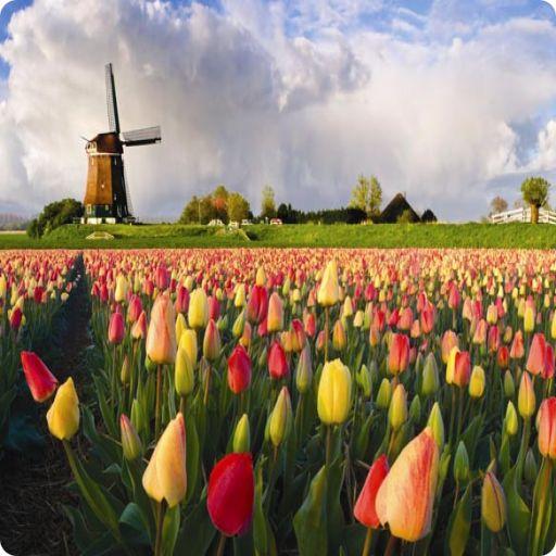 Holland Travel Trips