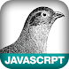 JavaScript Patterns