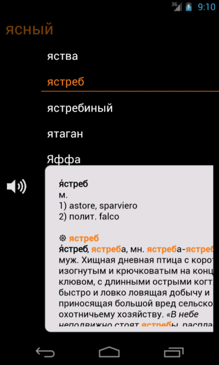 Russian Italian Dictionary Screen 2