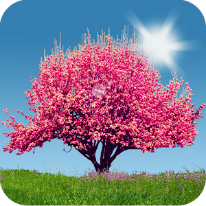 Spring Trees Free 2014 7QGGLAgI_Beu2dh7Z_wBtXqtzL1hAJBZev7Q2a2fgCInWXJ_9217h3wcT_uuizAFW-4o=w300