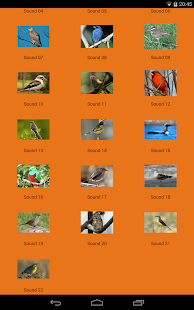 Lastest HD Bird Sounds APK for PC