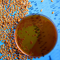 Genetic Engineering logo