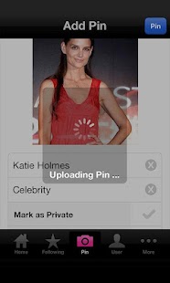 download PINSTYLE free