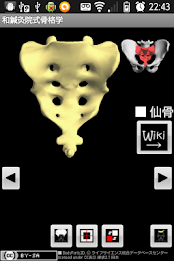 Skeletology (Nagomi) 2D poster 12