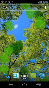 How to download Autumn Maple Live Wallpaper ★ patch 7.0.6 apk for android