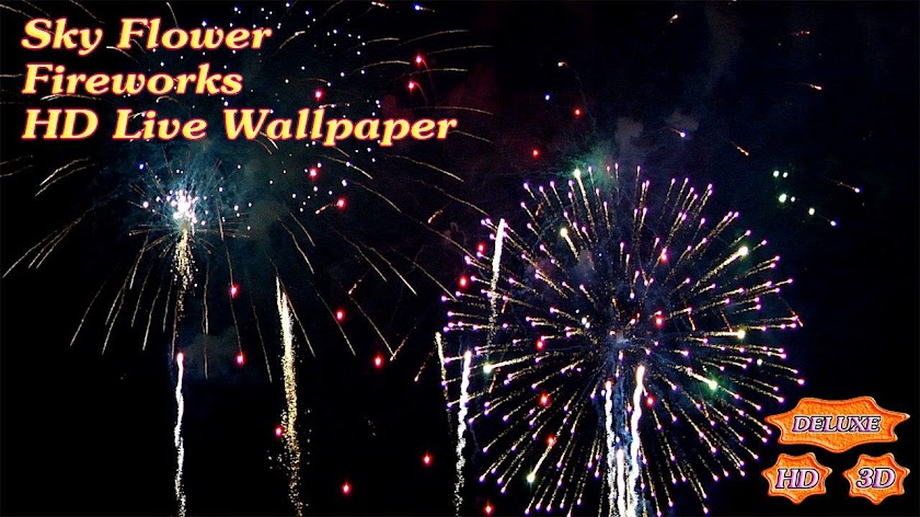 Sky Flower Fireworks Screen 3