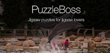 Dolphin Jigsaw Puzzles Demo APK