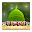 Faizan e Zikr o Naat Download on Windows
